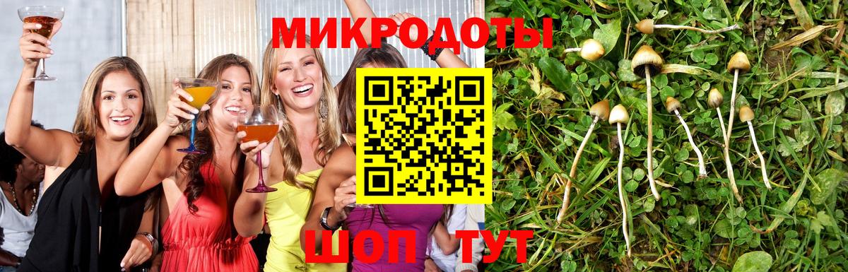 Псилоцибиновые грибы мухоморы Кушва