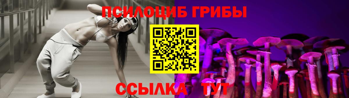 купить  цена  Вход с VPN  Кушва  Галлюциногенные грибы Cubensis 